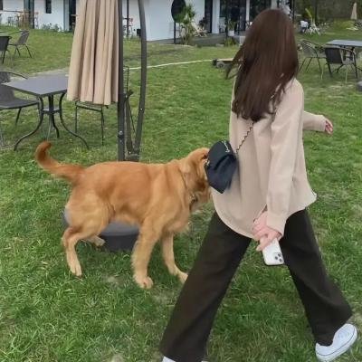 赤胆丹心